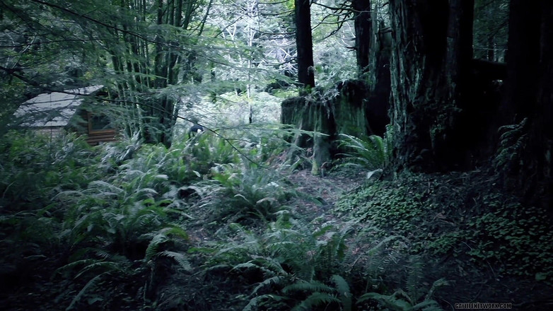 Twinklight: Vampires Have Been This Sexy but Never This Naked