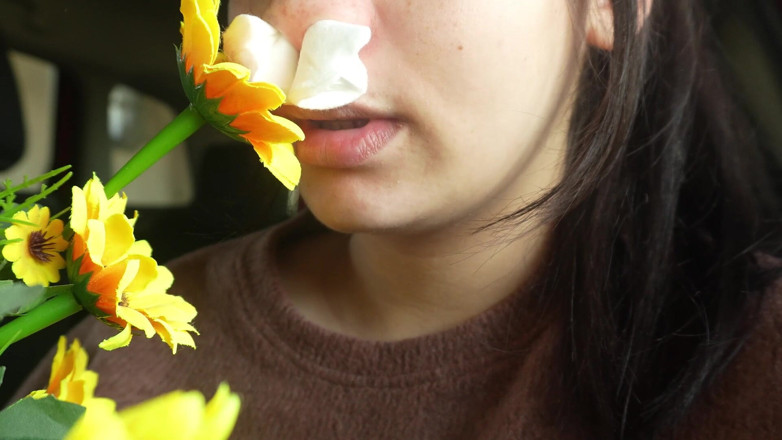AmayaMori: Ajuste de estornudos en el coche mi reacción de alergia...