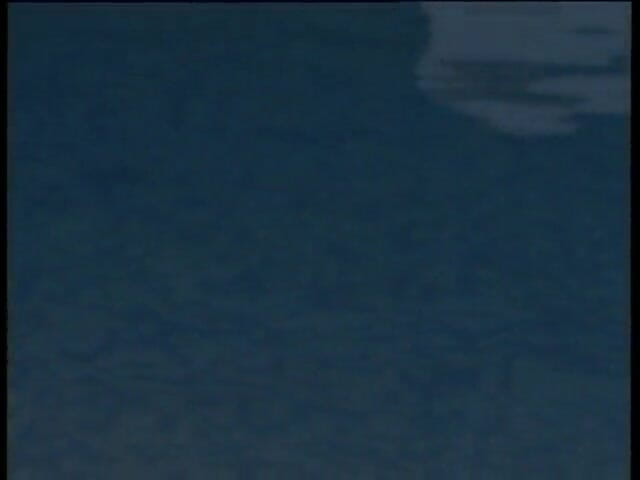 Lucky Cooch: 巨乳の赤ん坊はプールで大きなコックを吹いています