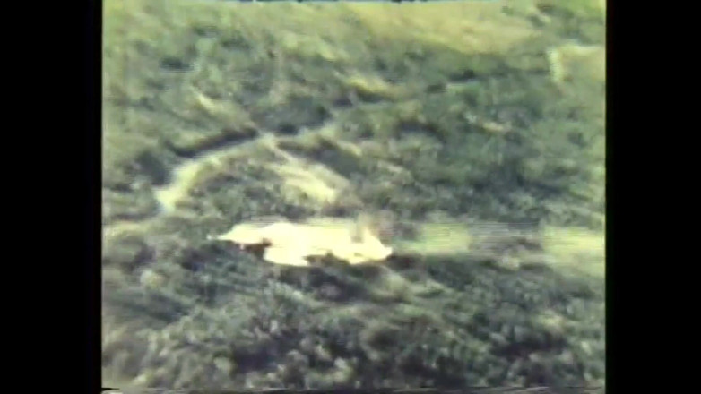 Vintage megastore: Cock Suckers