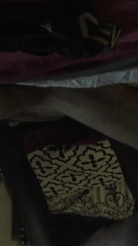 Cabra Draco