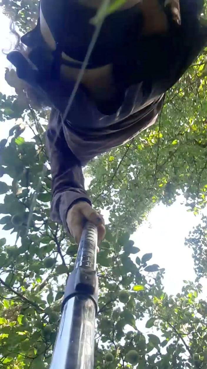 DiiVampy: Dildo Walk Outside