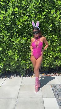 Pink Bunny