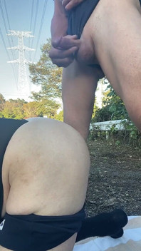 Andando com coleira no parque durante o dia