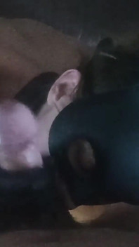 Amateur Cumslut Blowjob and Cumshot Compilation