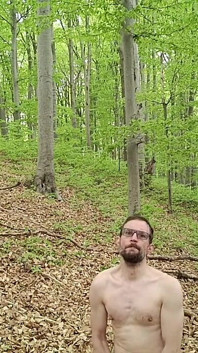 I Chase Him Through the Leaves