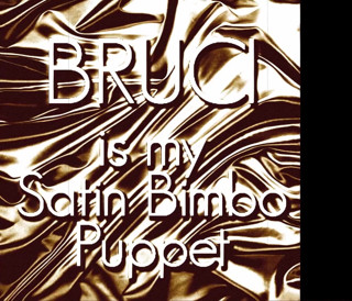 Campsissyboi: Audio only - Bruci is my satin slut puppet