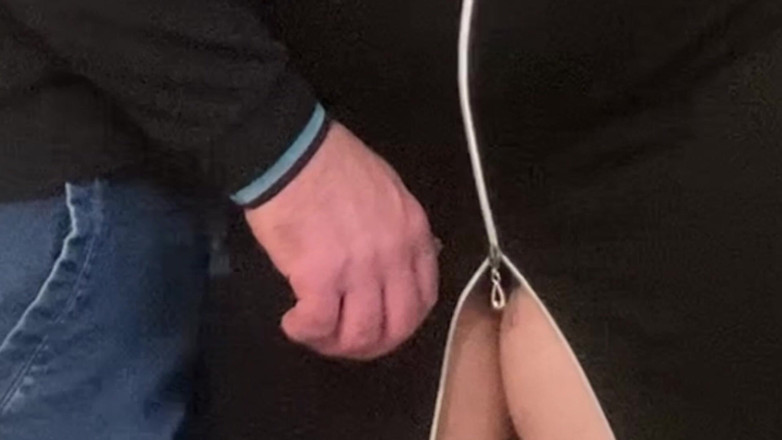 Niki studio: Subway Fantasy! Hairy MILF Fingered Under Dress