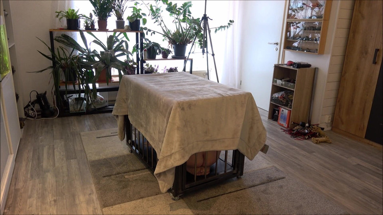 Slave Jenni: Ja Meister Ich Gehöre Dir