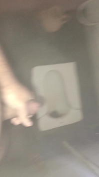 L'uomo ragno nel mio bagno