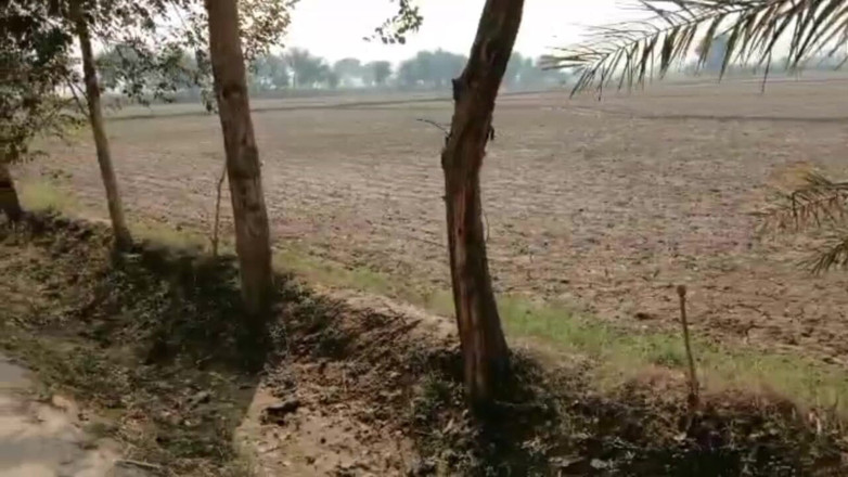 Desiboy gay: Sexy chlapec sex pákistánský