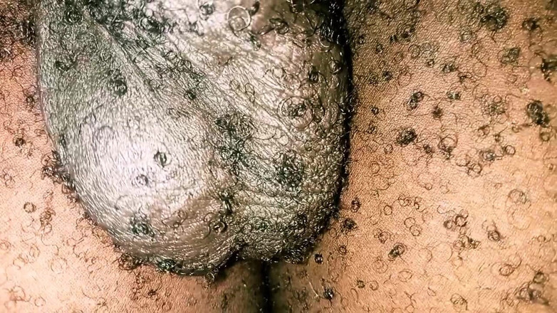 Judith xxx: Sensazione notturna