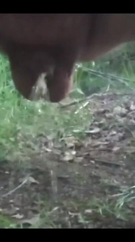 Want Me to Teabag You While I Piss?