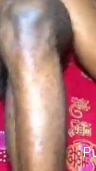 Pure Smooth Rider