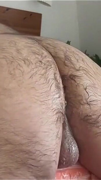 Styvpappa björn