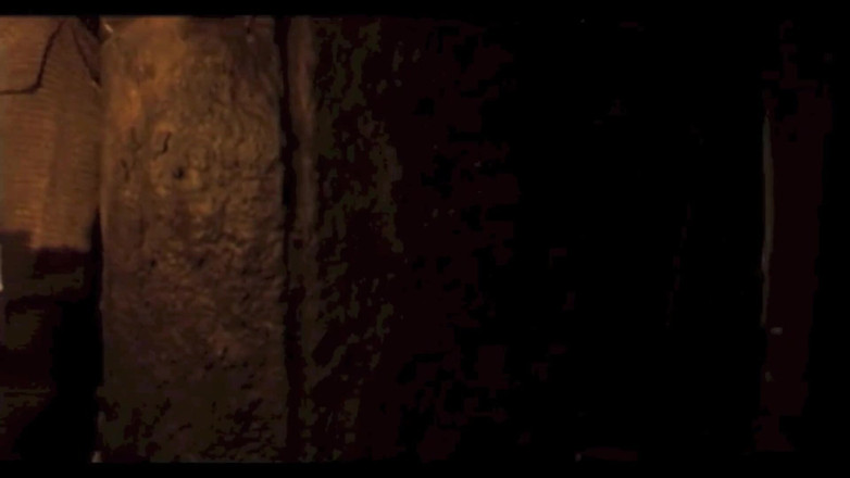 Inhonorof porn: Stráž Zadek Šuká Krásnou Vězeňkyni