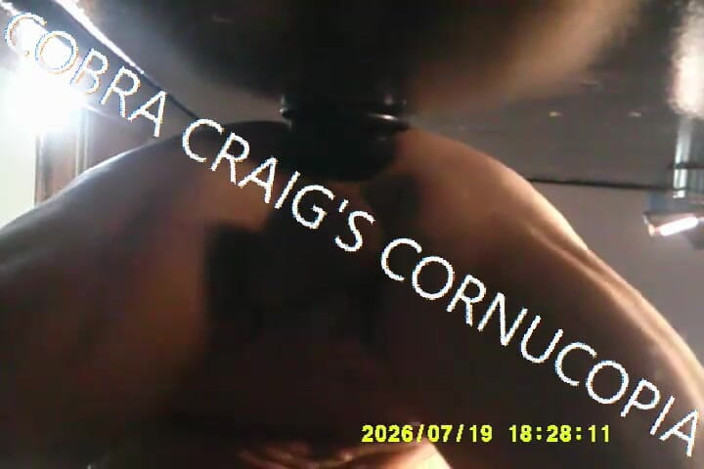 COBRA CRAIG: Upshot Sadly the Closest I Will Ever See to Stepmamma