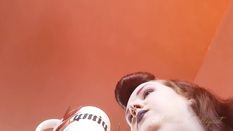 Mxtress Valleycat: POV: Jsi občerstvení čekající na pohltí