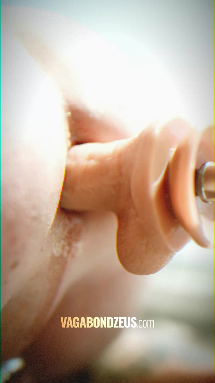 VagabondZeus - Erotic Filmmaker: Orso Australiano Che Gioca Con Una Macchina Da Scopata Sulla...