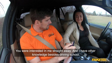 Fake Driving School