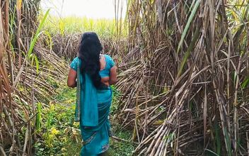 Today I Kicked My Wife’s Ass in a Sugarcane Field and Shot an Indian Sex Video