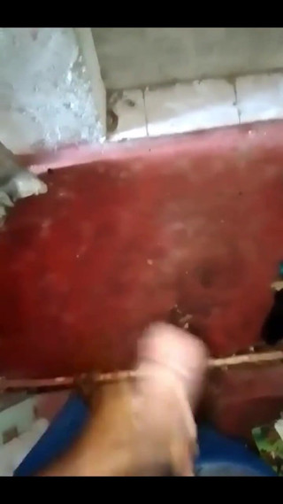 Haydenbbc: 867486332044197888.mp4