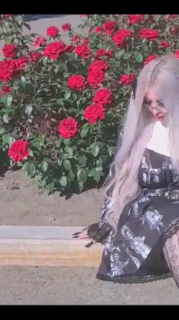 What Types of Flowers Do You Particularly Like?