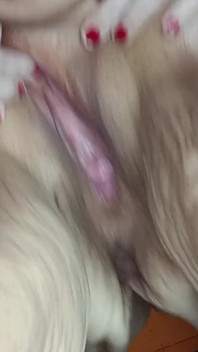 Slutty Oinky Boinked Loudly She Snorts N Oinks