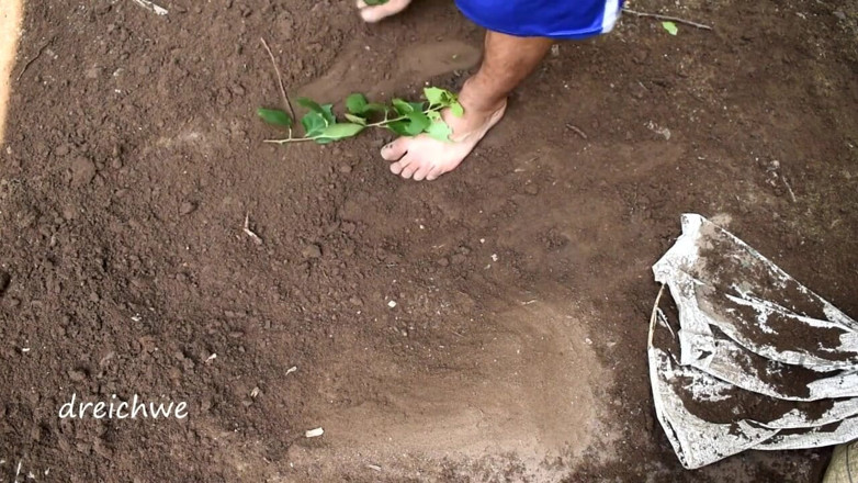 Dreichwe: Digging with the feet
