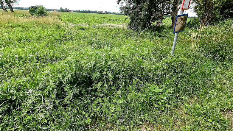 Bouncy Tits Action: Otobüs durağında çıplak göğüslerini tokatlıyor