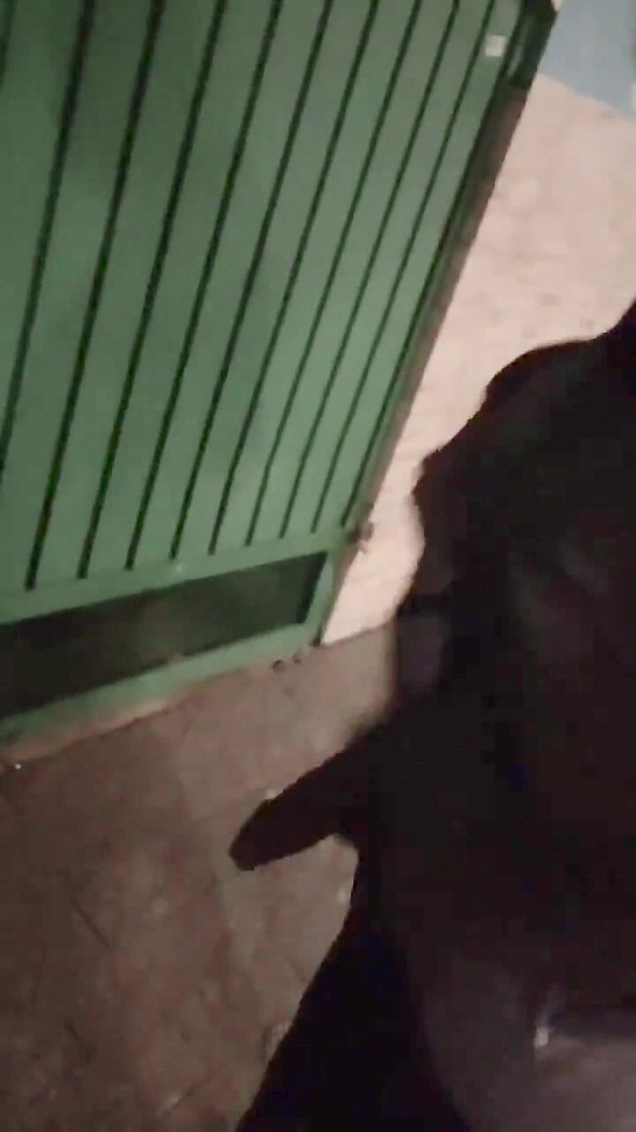 Vida Noite: 没有什么比宣布你的负荷和让你的兄弟为你加油更绑定的了