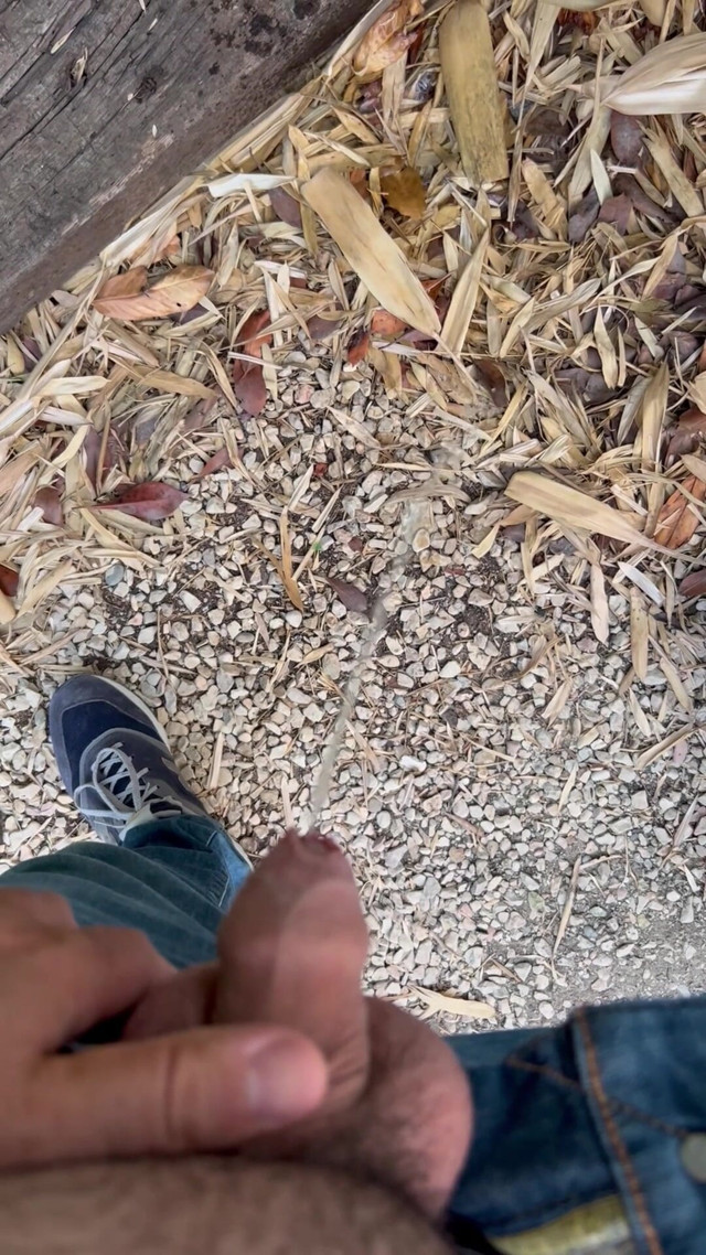 Peeing in the Garden (JHSbdsm) Peeing in the Garden (JHSbdsm)