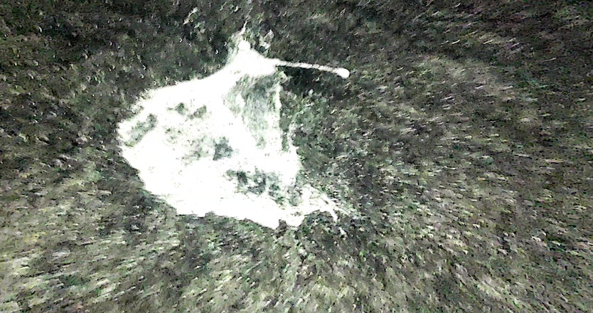 PABLO N3GROBAR: Sezonul trei - Lil Midget complet 4K - Munchkin