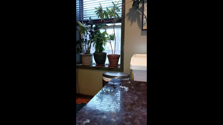 Kennie Jai: Kenniejai se masturbează pe Blat și o mănâncă