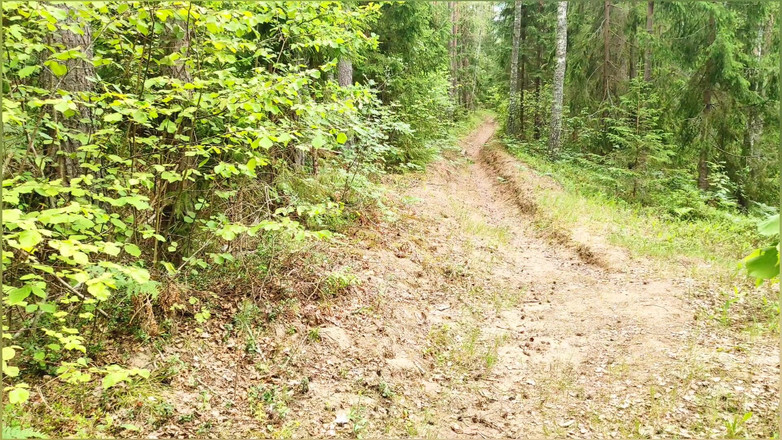 S-Wife Katy: Замужняя Милф Отстала От Туристической Группы И Захотела Чтобы Ее Выебали Прямо На Лесной Тропинке.