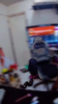 Bts Kolombiyalı rahibe ve hizmetçi bakış açısı