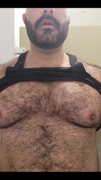 Solo Bear