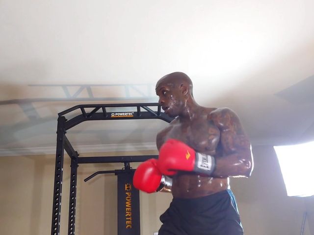 Boxing Workout Core Training Is Critical for Improving Posture, Enhancing Performance, Increasing Injury Resistance, and Acceler (Hallelujah Johnson)
