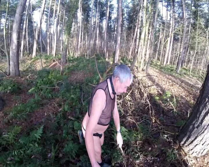 Andy: Kall dag i skogen