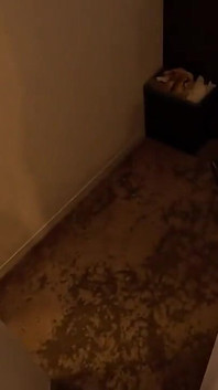 アジアの天使16274