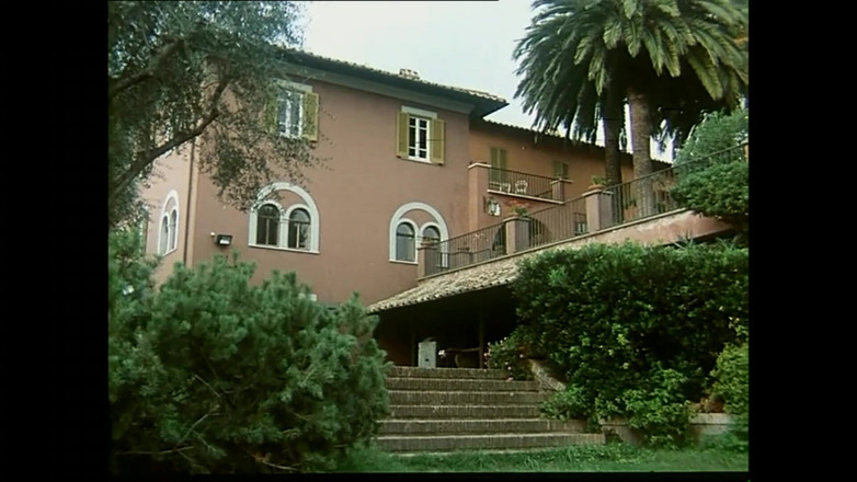 FM Video VOD: モアナ・ポッツィ、ミリー・ダブラッチョ、ロッコ・シフレディ出演:アミチェ・デル・カッツォ