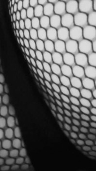 Medias de rejilla provocan en blanco y negro
