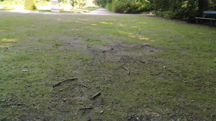 Monster_Meat_: Chơi ngoài trời mạo hiểm trong parc