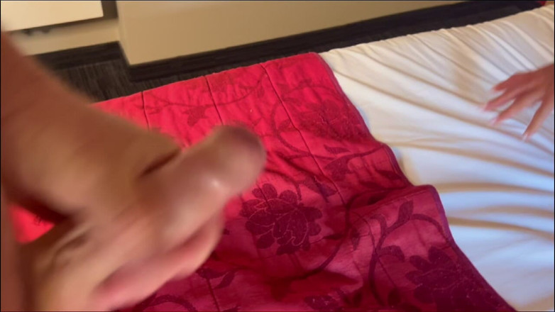 Mianins: Perrito En Hotel Con Pantera Belga