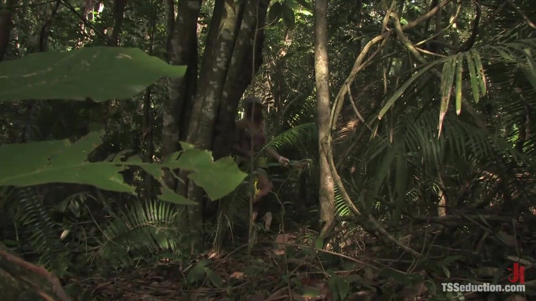 TS Seduction by Kink: Brasiliano aggiornamento bonus fantasia transessuale isola