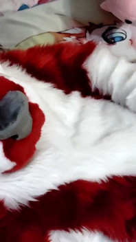 Jerking off and Showing Footpaws in Full-body Fursuit