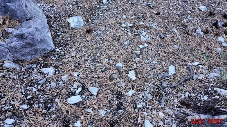 Nasty Sluts Studios: Sürtük avı ep.7 xxlayna'nın deliklerini istismar ediyor