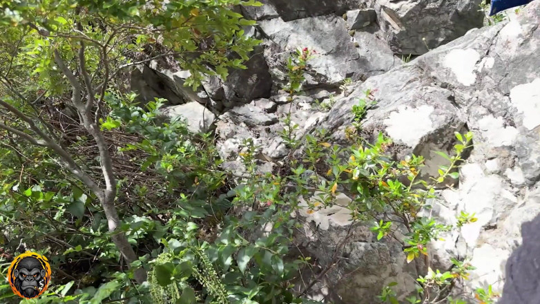 SrMono: Je vais coucher avec elle dans les bois... J’espère que...