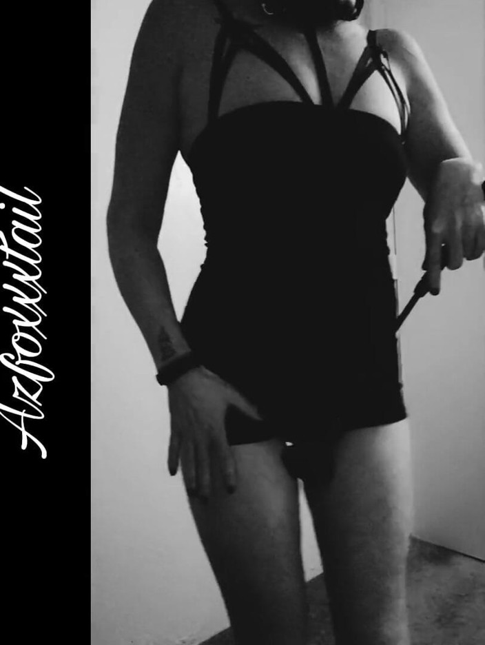 AzFoxxxTailPhelicia: Whip1_22-03-06