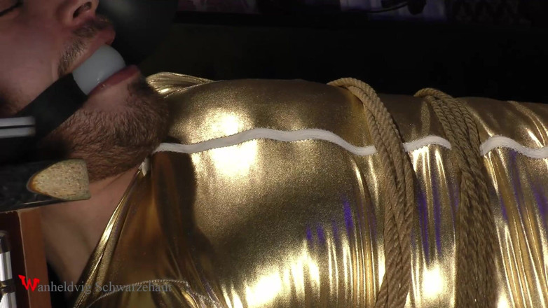 Wanheldvig: Zeus Goldy Bondage Challenge